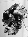 Kids-NYC_AMNH_3-2014 (134)